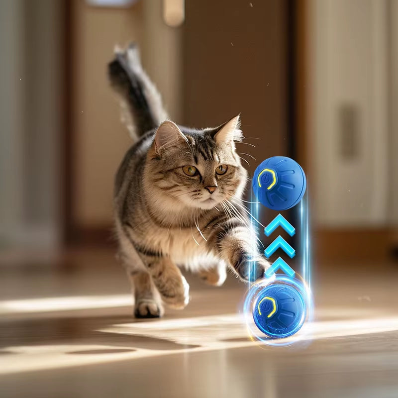 Cat Interactive Bouncing Ball Smart Cat Toys USB Automatic Rolling Magic Ball Electronic Cat Dog Toy Cat Game Accessories