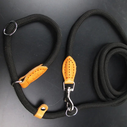 Multifunctional Dog Leash P Chain Slip Collar Pet Walking Leads Nylon Dog Rope Puppy Pet Traction for Small Medium Large Dogs
