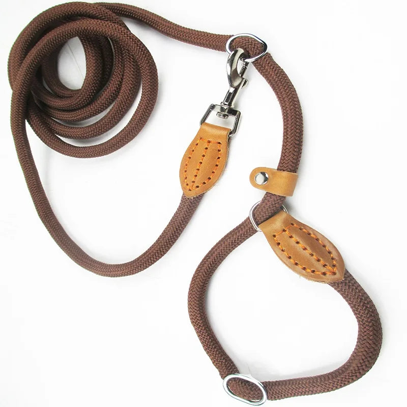 Multifunctional Dog Leash P Chain Slip Collar Pet Walking Leads Nylon Dog Rope Puppy Pet Traction for Small Medium Large Dogs