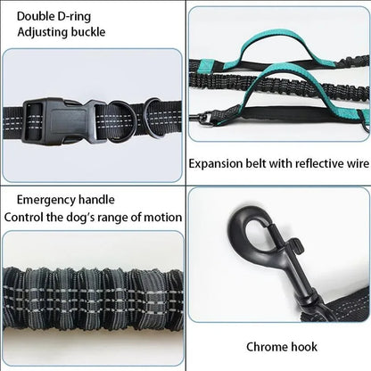 Retractable Hands Free Dog Leash for Running Double Handles Elastic Cord Reflective Large Dog Leash Pet Supplies