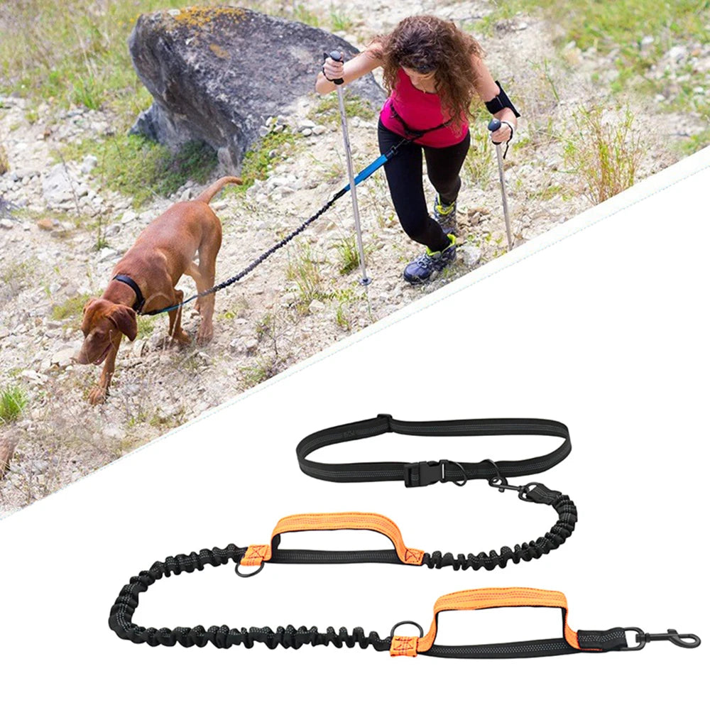 Retractable Hands Free Dog Leash for Running Double Handles Elastic Cord Reflective Large Dog Leash Pet Supplies