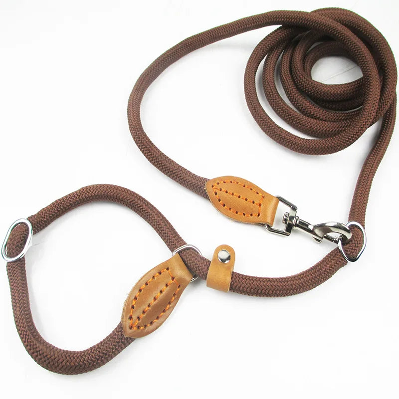 Multifunctional Dog Leash P Chain Slip Collar Pet Walking Leads Nylon Dog Rope Puppy Pet Traction for Small Medium Large Dogs